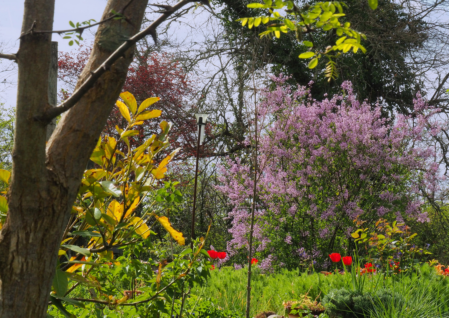 Printemps