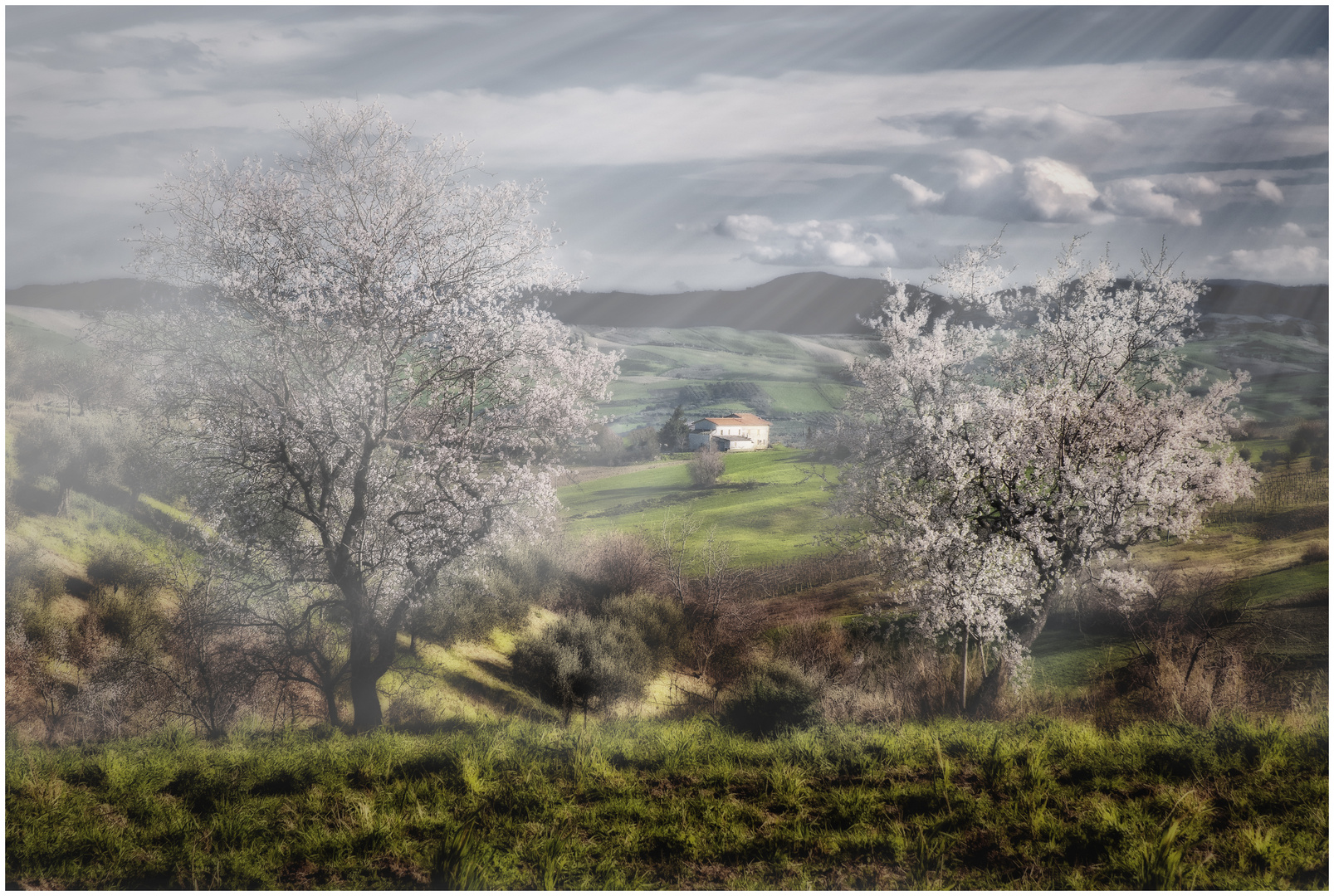 Printemps des Abruzzes