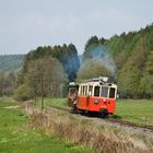 Printemps en Ardennes