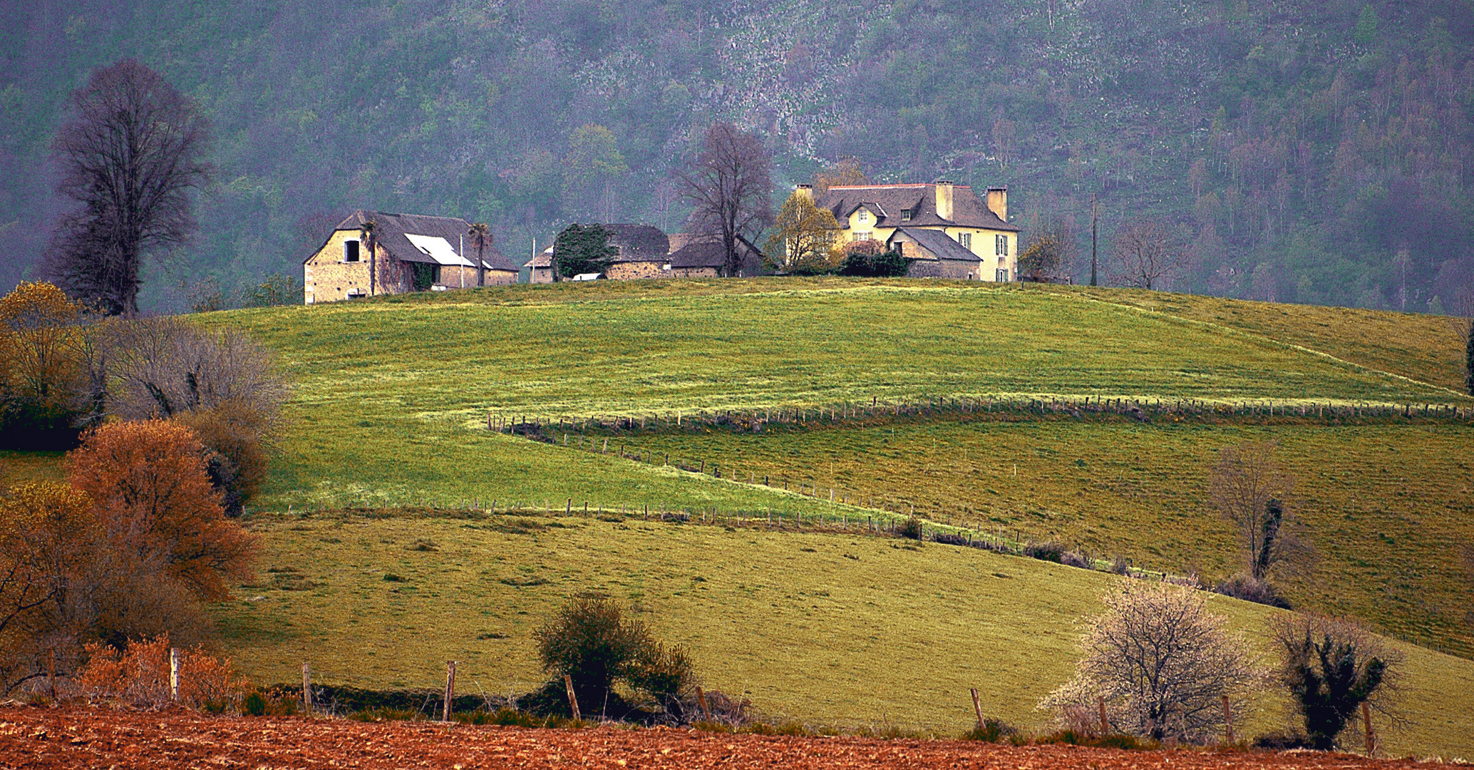 printemps en bearn