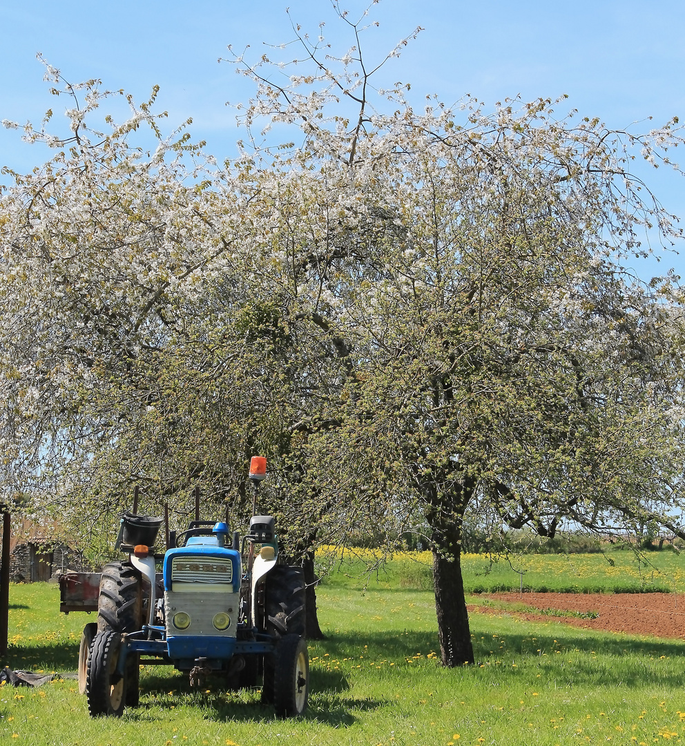 Printemps en Bourgogne