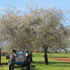 Printemps en Bourgogne