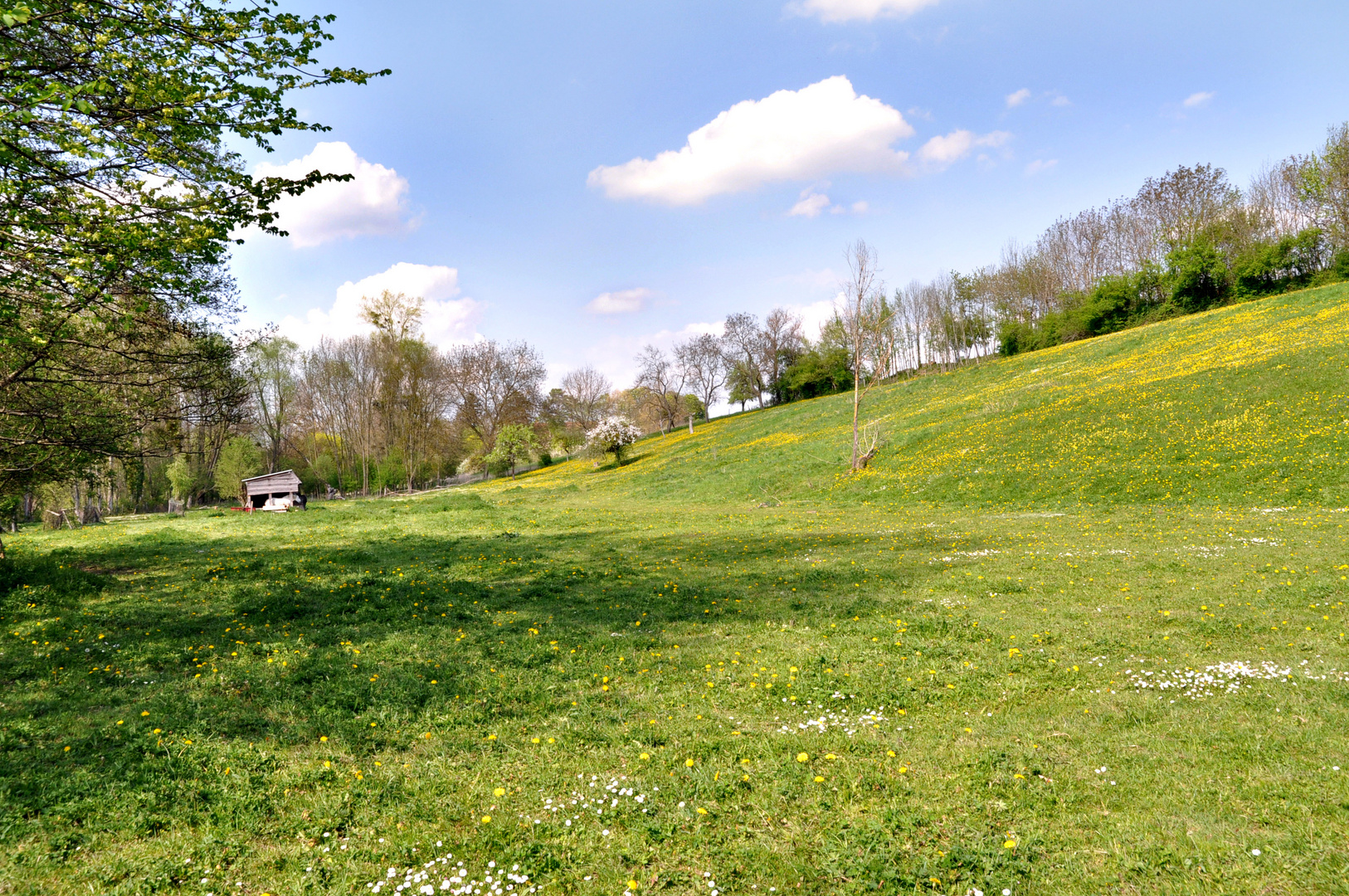 Printemps en campagne bourbonnaise