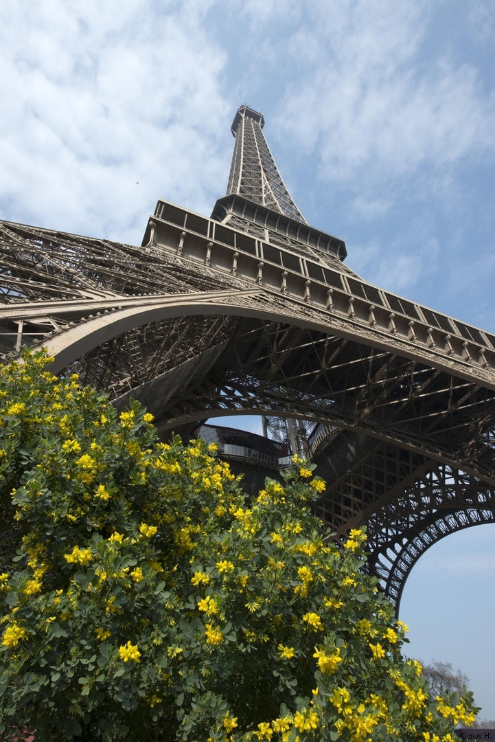 ~ Printemps en Paris ~