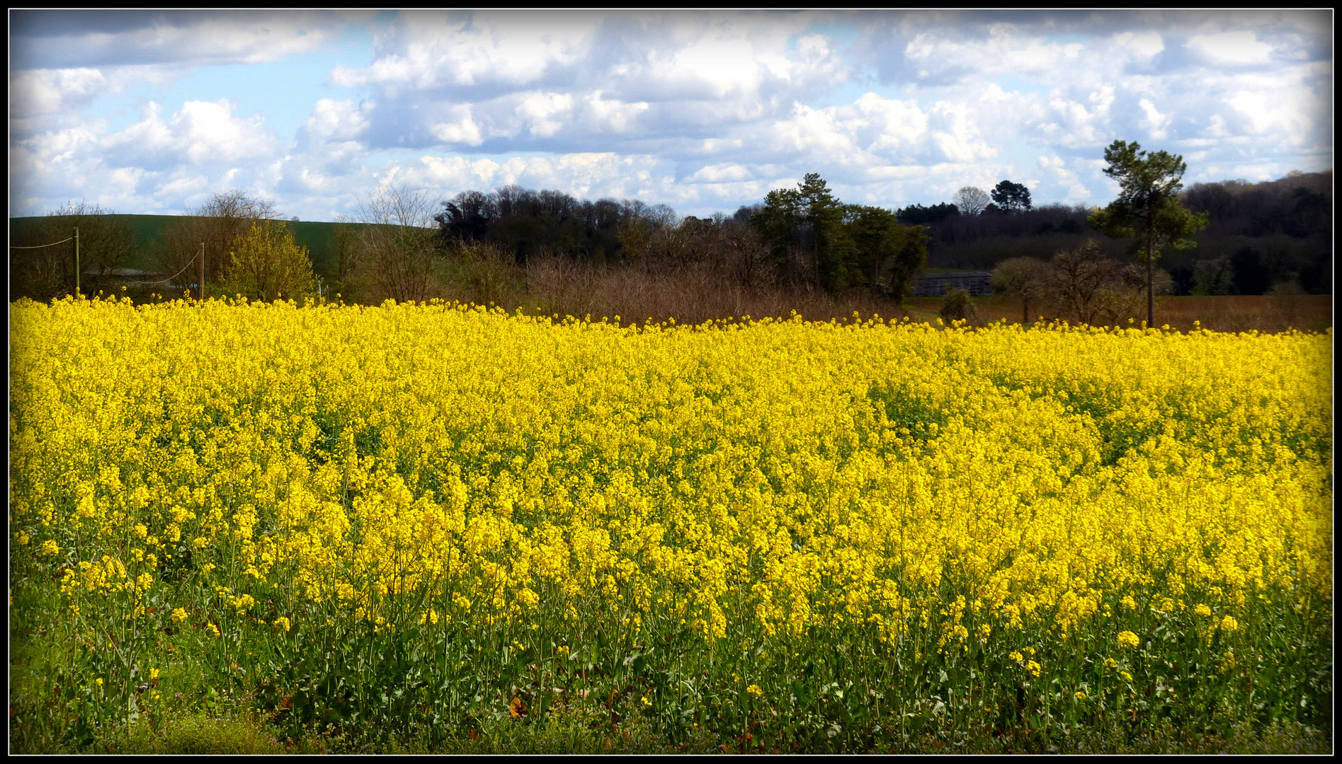 Printemps en Périgord