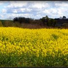 Printemps en Périgord