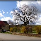 Printemps en Périgord 