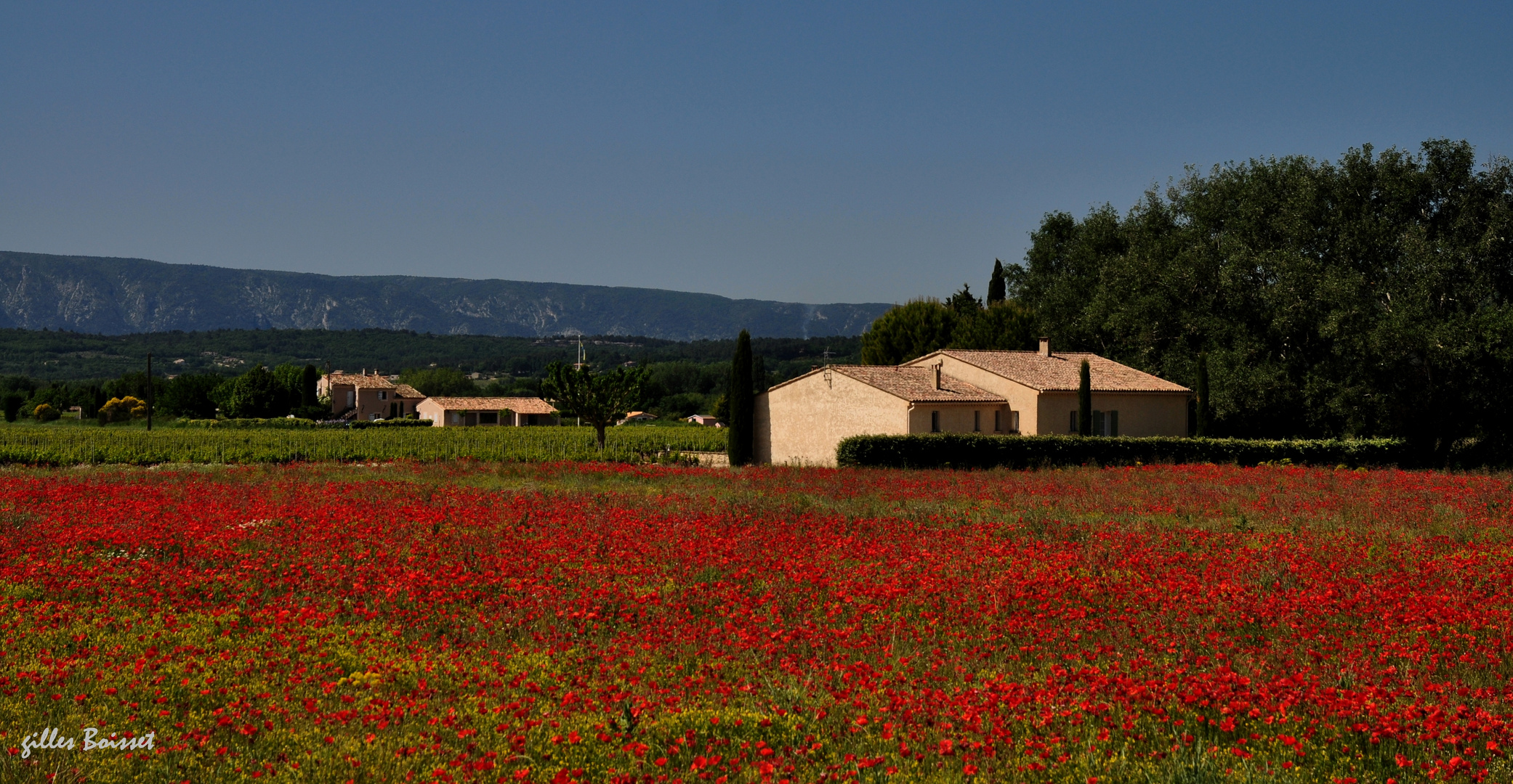 Printemps en Provence