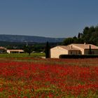 Printemps en Provence