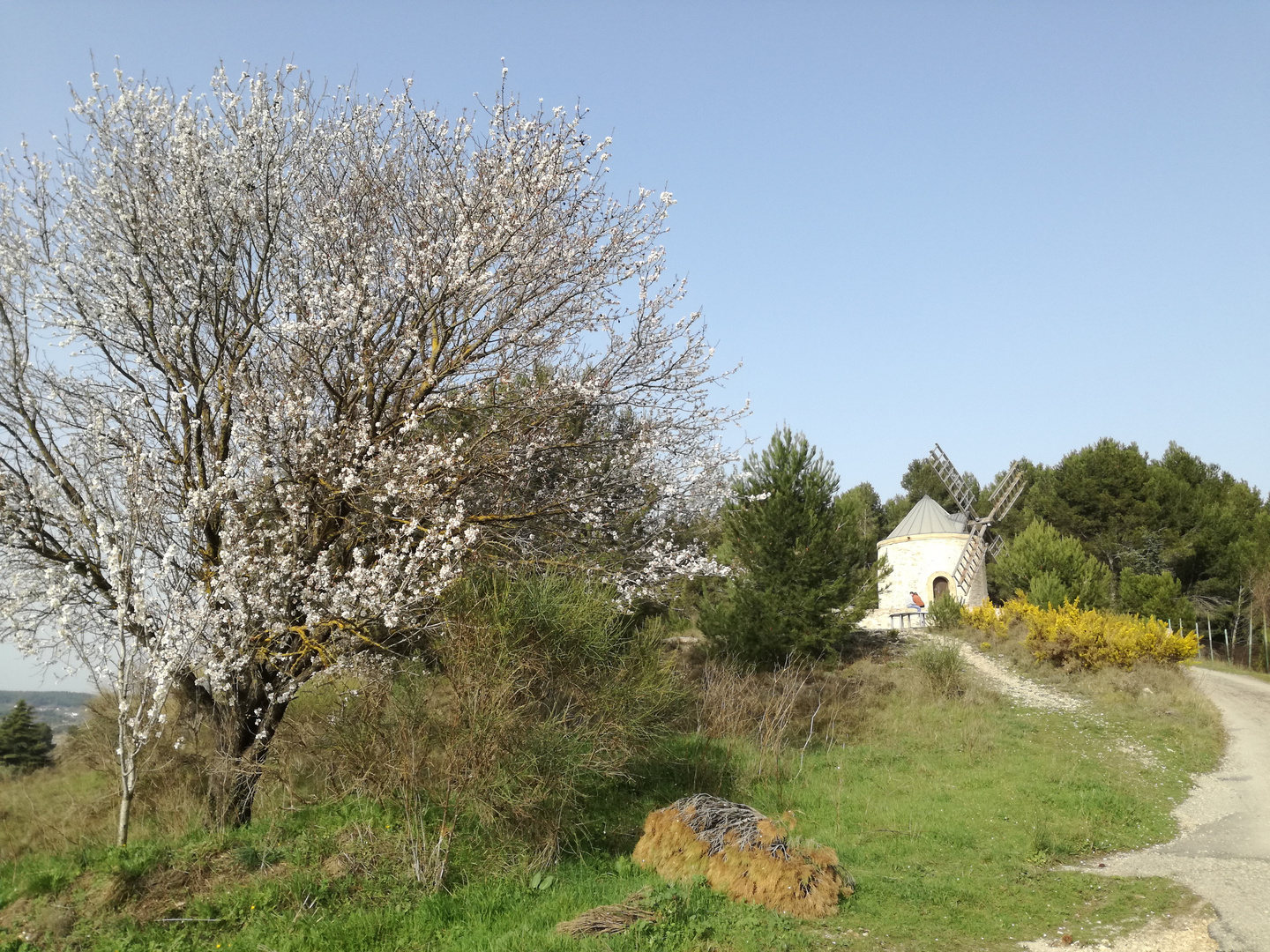 Printemps en Provence.