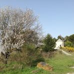 Printemps en Provence.