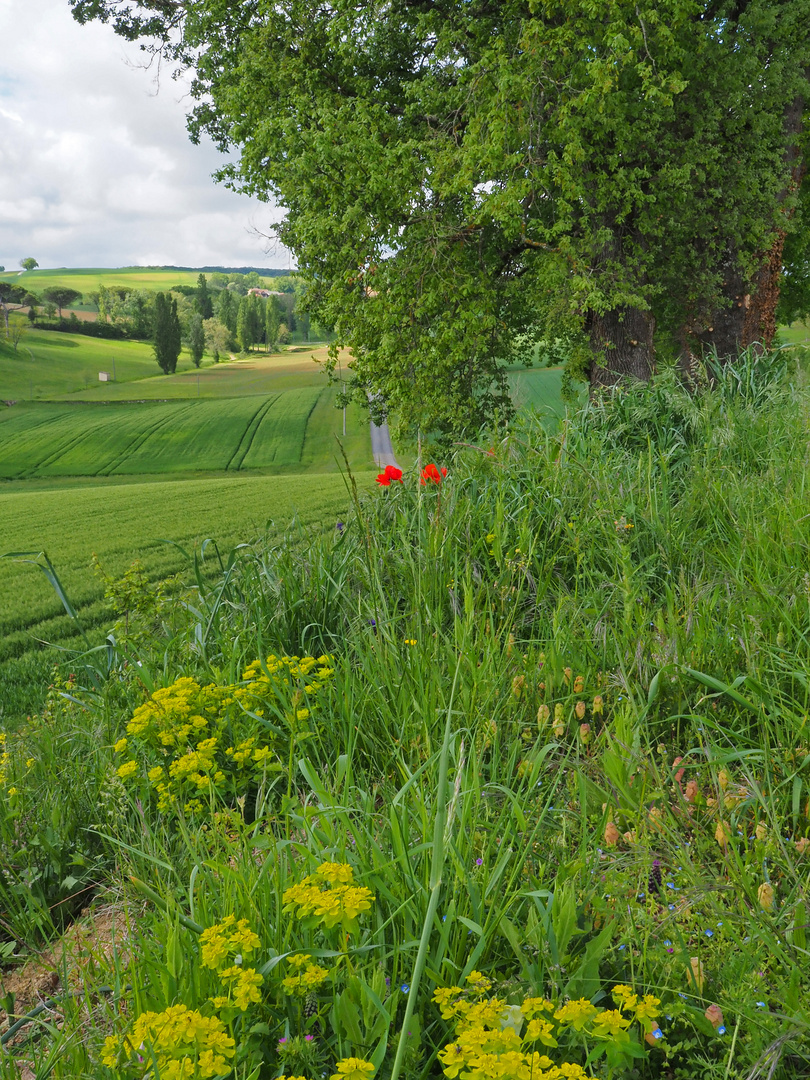 Printemps gersois