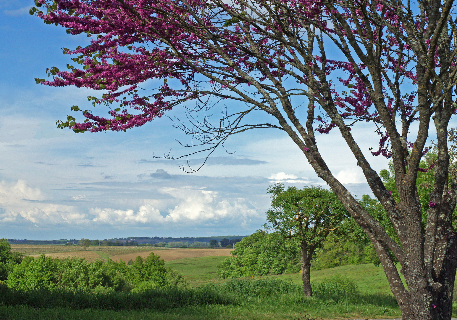 Printemps gersois