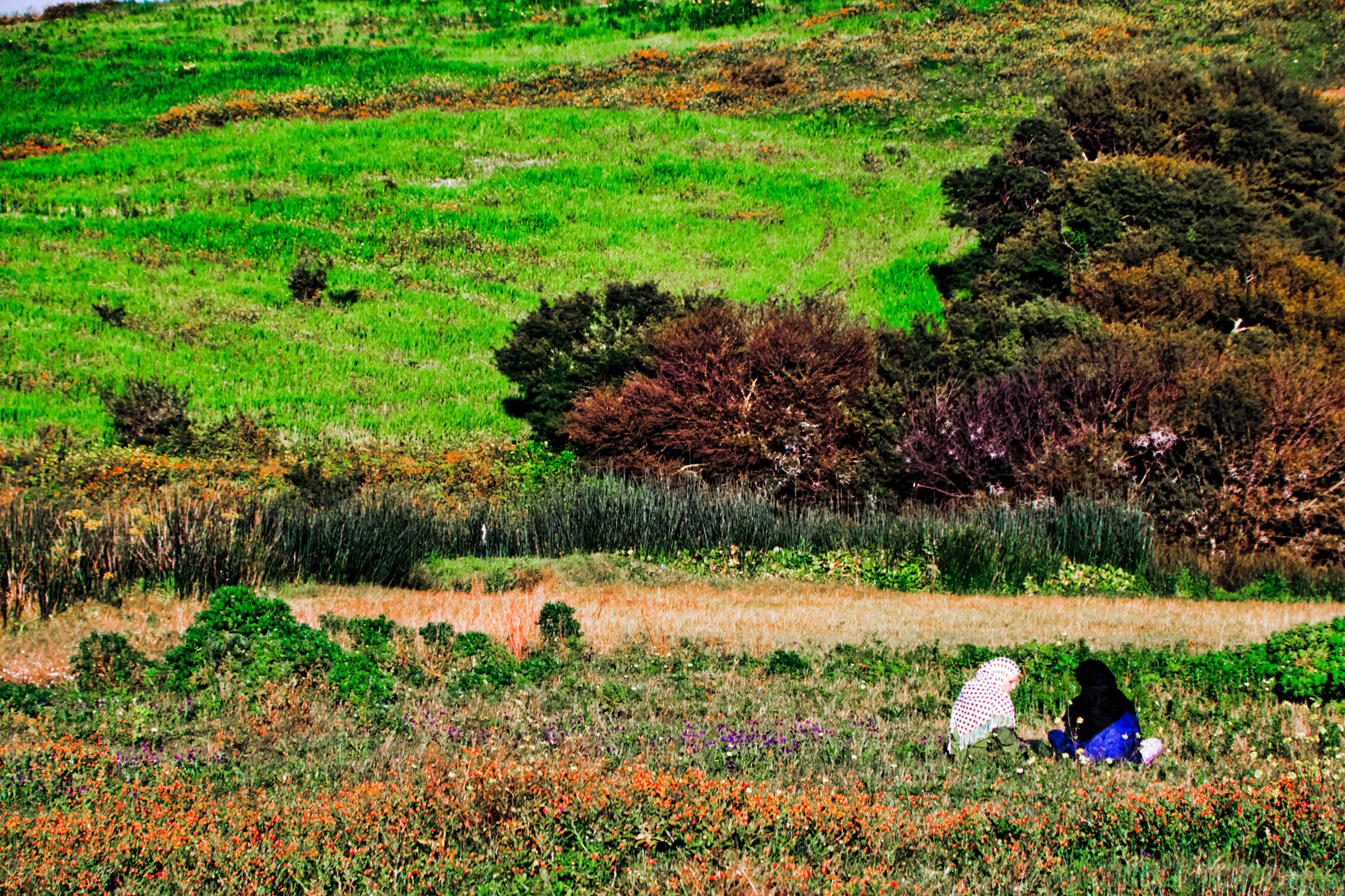 printemps marocain