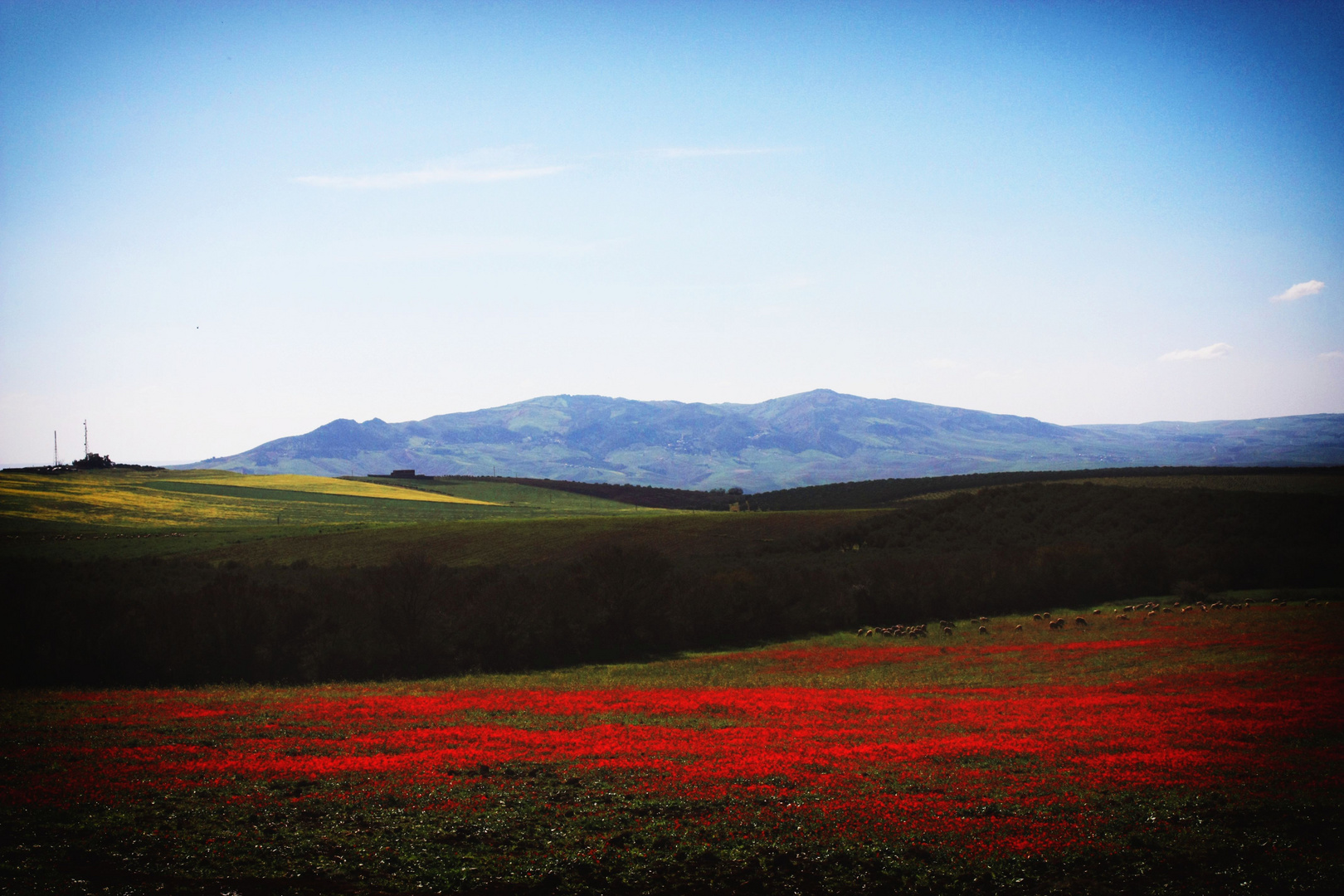 Printemps méditerranéen