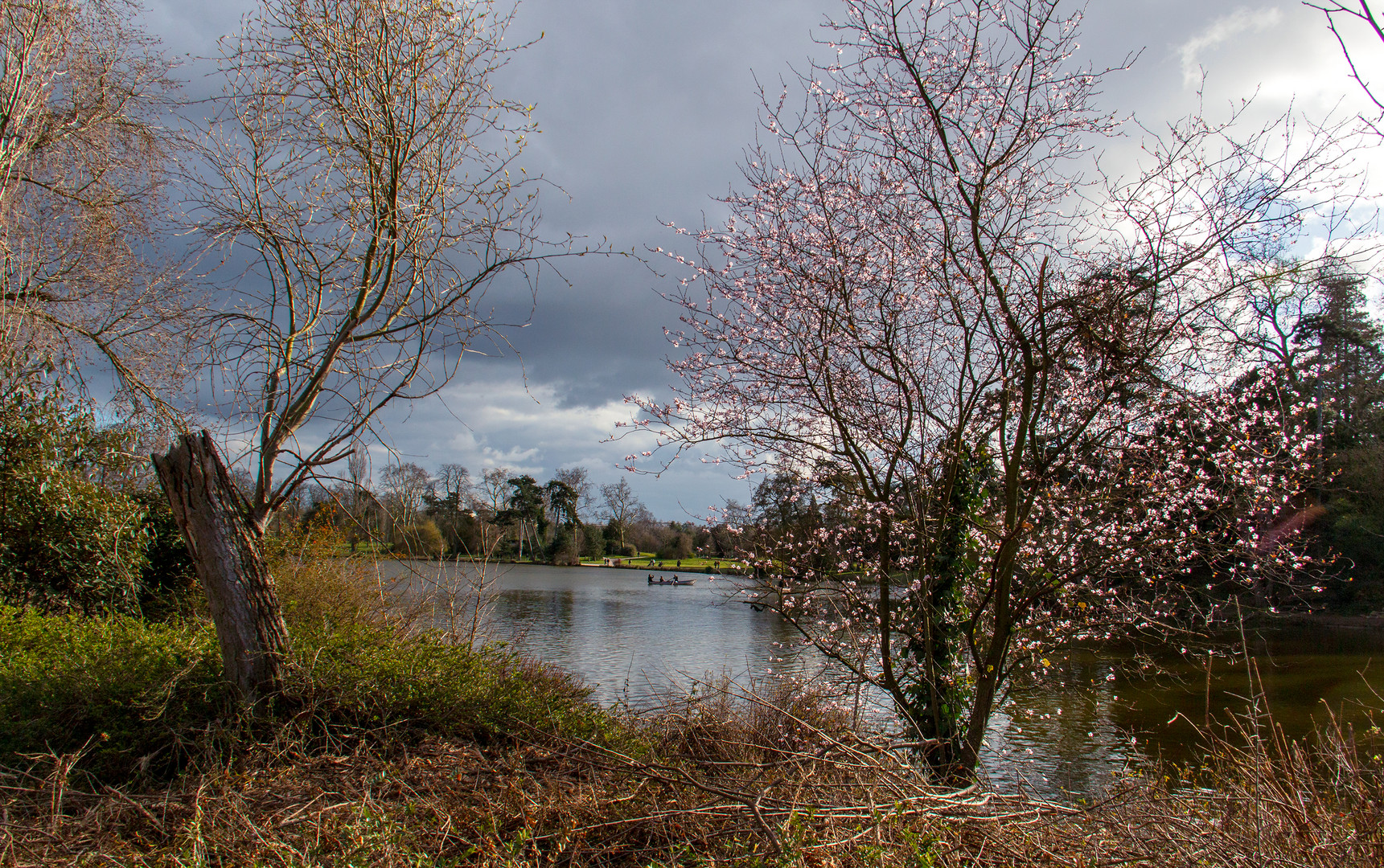 Printemps précoce . 