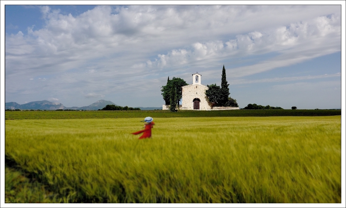 Printemps provençal !