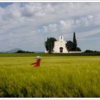 Printemps provençal !