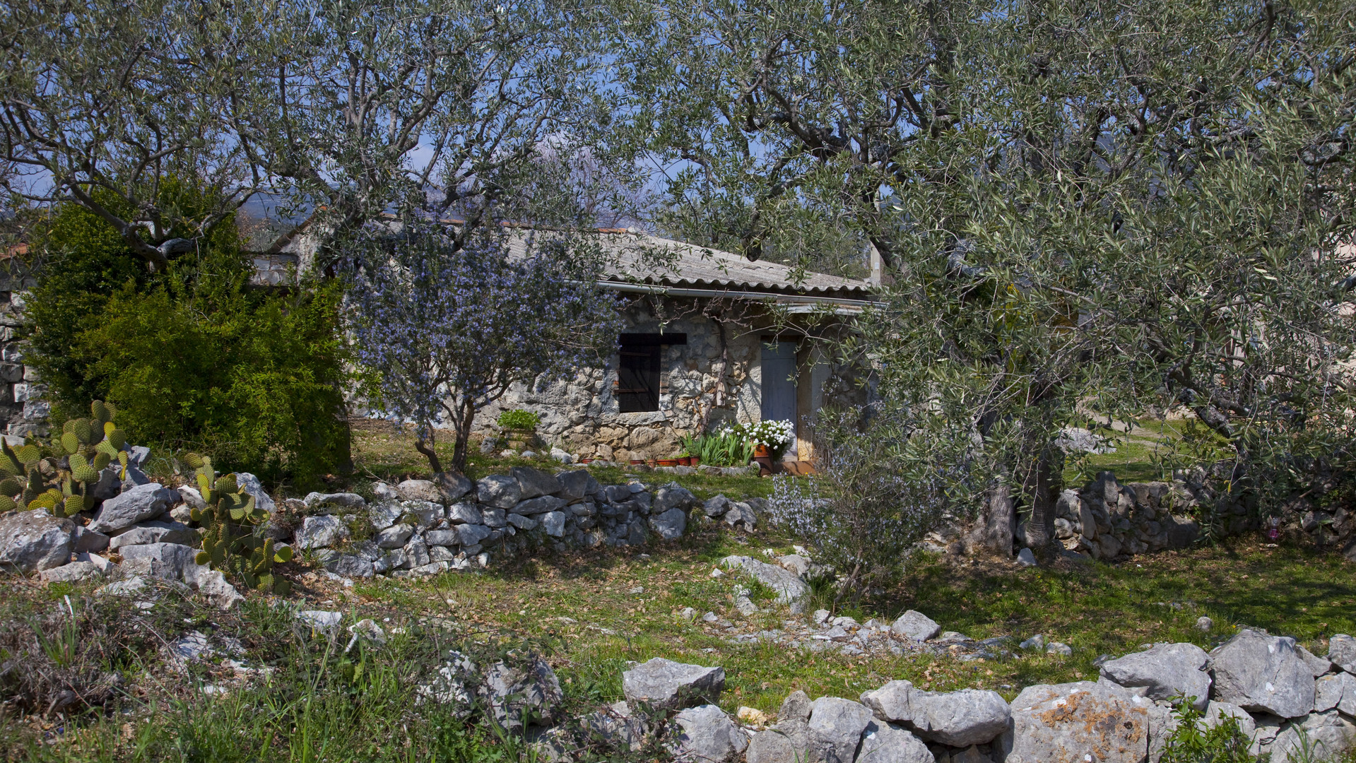 printemps provencal