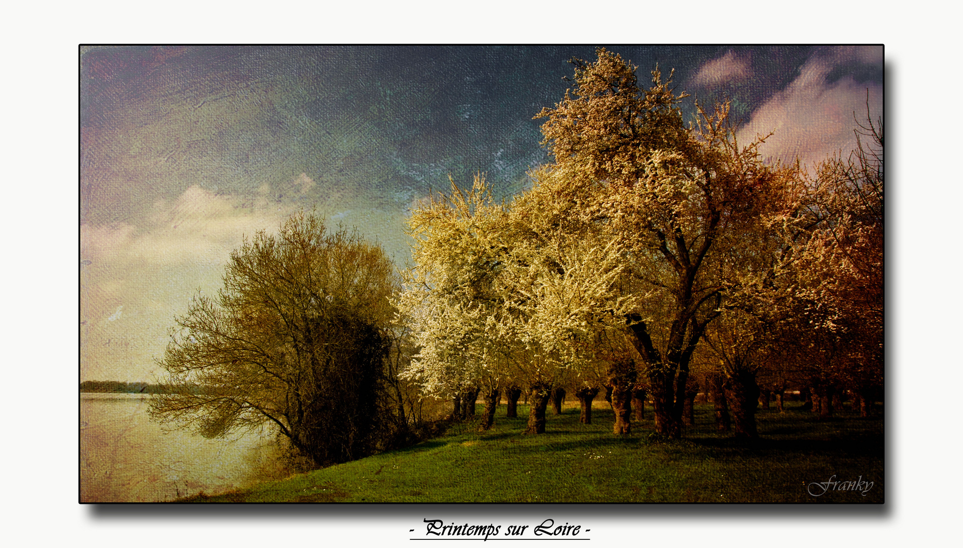 Printemps sur Loire