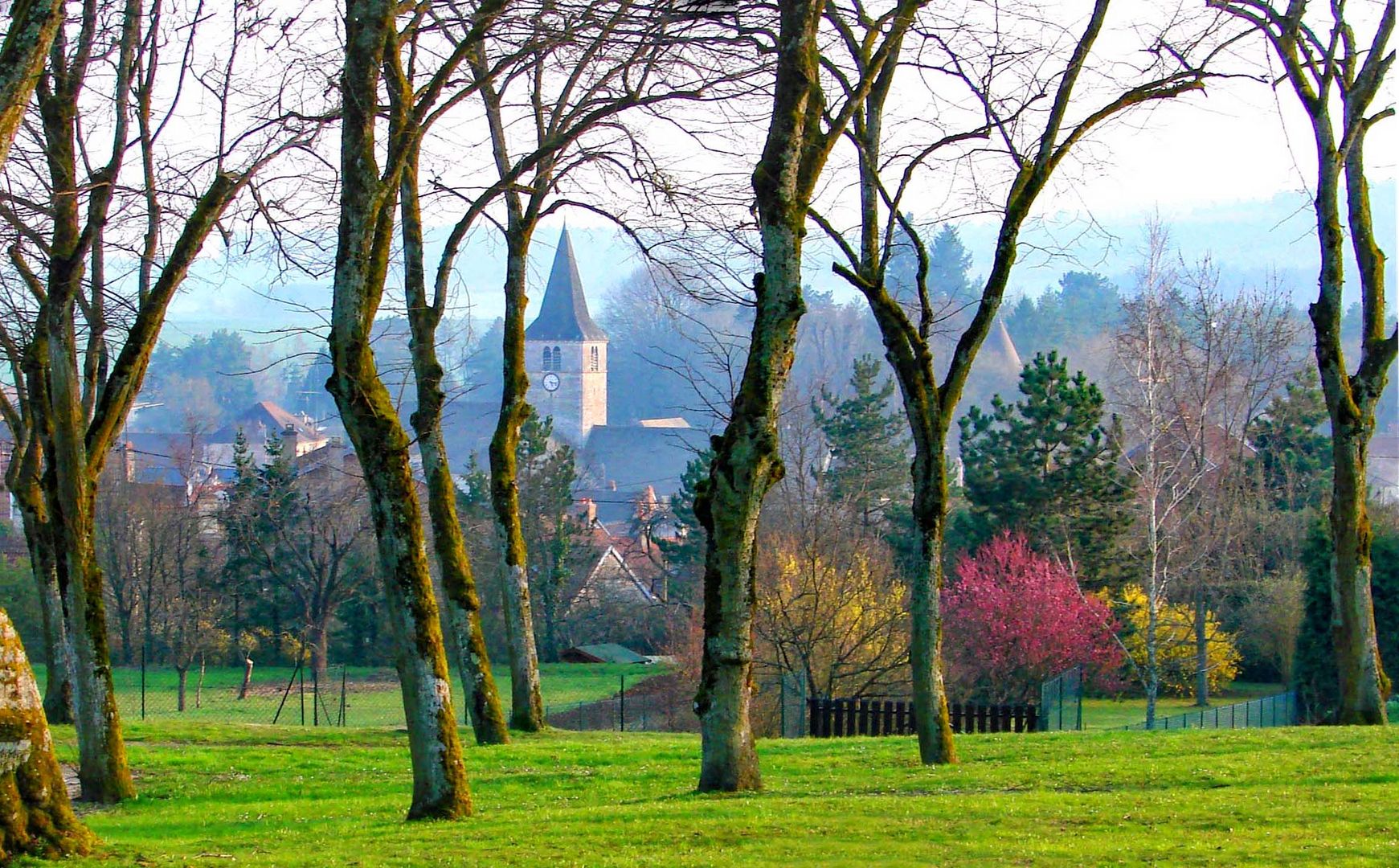 Printemps sur St Rémy