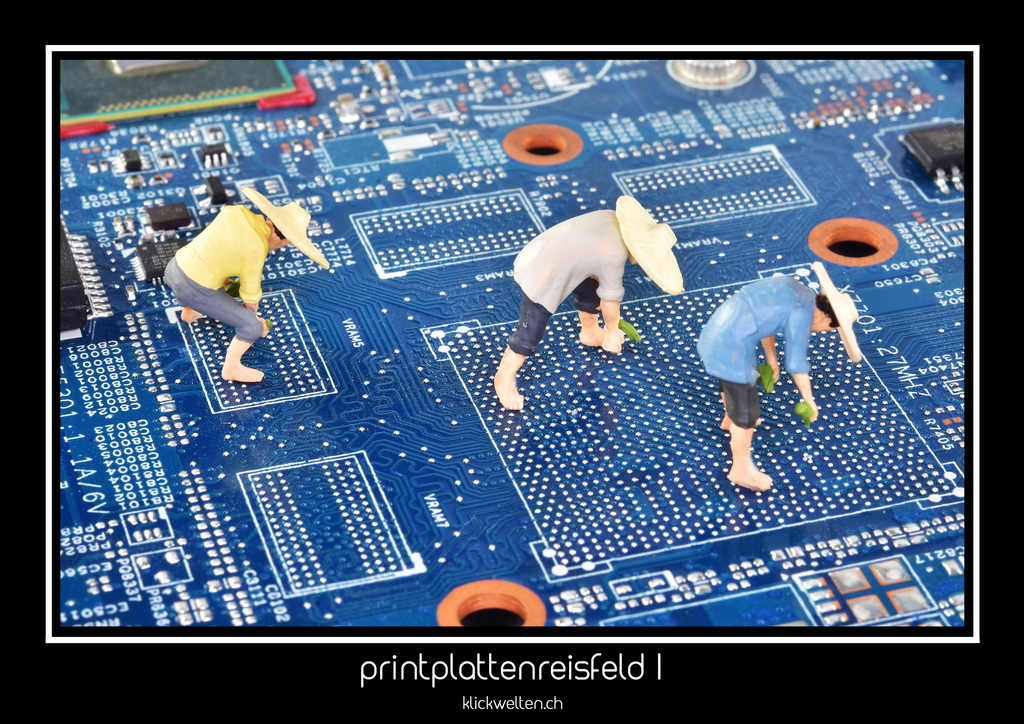 printplattenreisfeld I