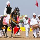 Prinz Malik auf seinem tanzenden Pferd/Pakistan