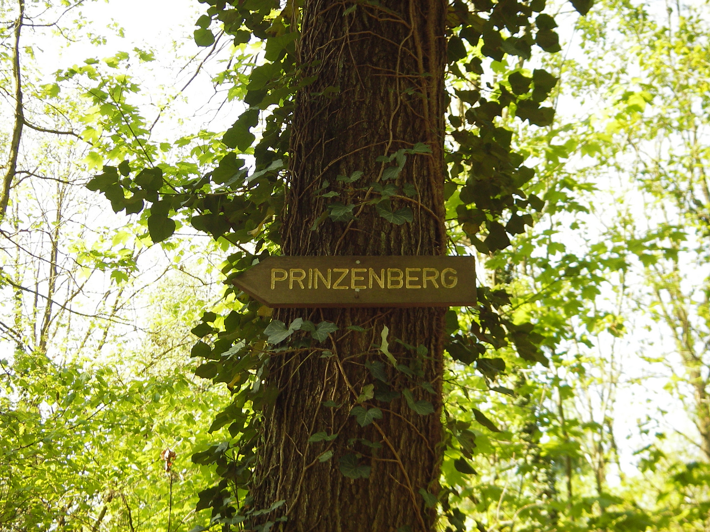 Prinzenberg