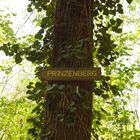 Prinzenberg