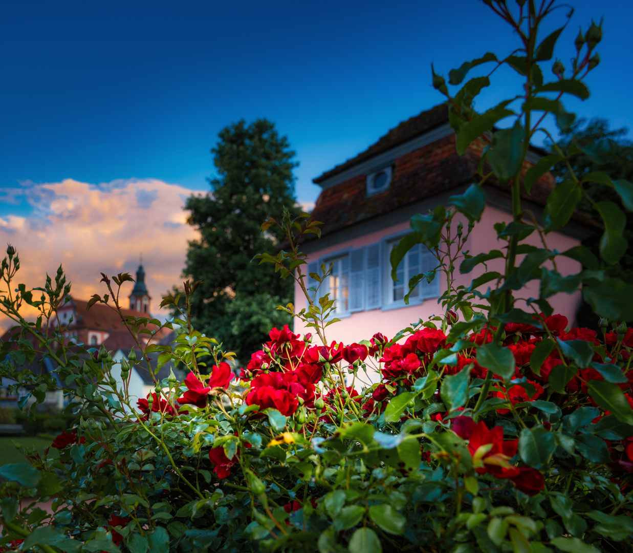 Prinzengarten Abendstimmung Ettenheim