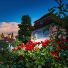 Prinzengarten Abendstimmung Ettenheim