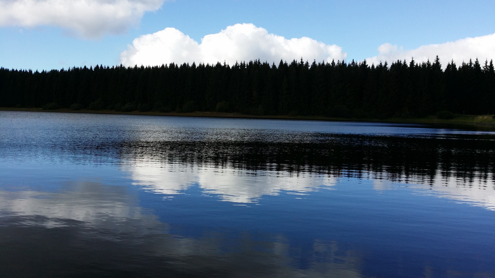 Prinzenteich im Oberharz