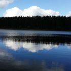 Prinzenteich im Oberharz