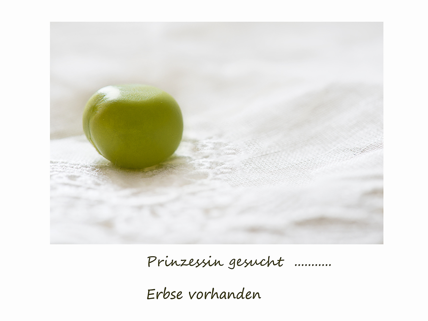 Prinzessin gesucht