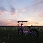 Prinzessin hat ihr Fahrrad vergessen