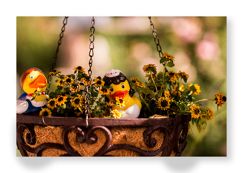 Prinzessin und Zofe im Hanging Basket