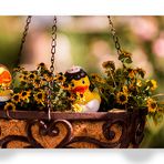 Prinzessin und Zofe im Hanging Basket