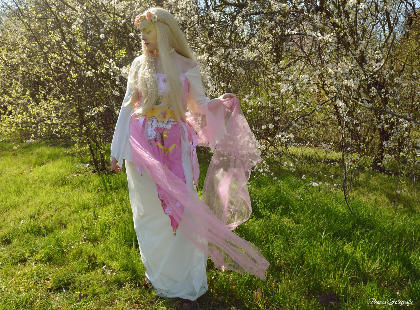 Prinzessin Zelda Cosplay