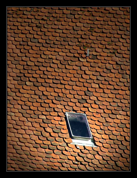 prinzessins notausgang - wenn das mal nicht der könig sieht...