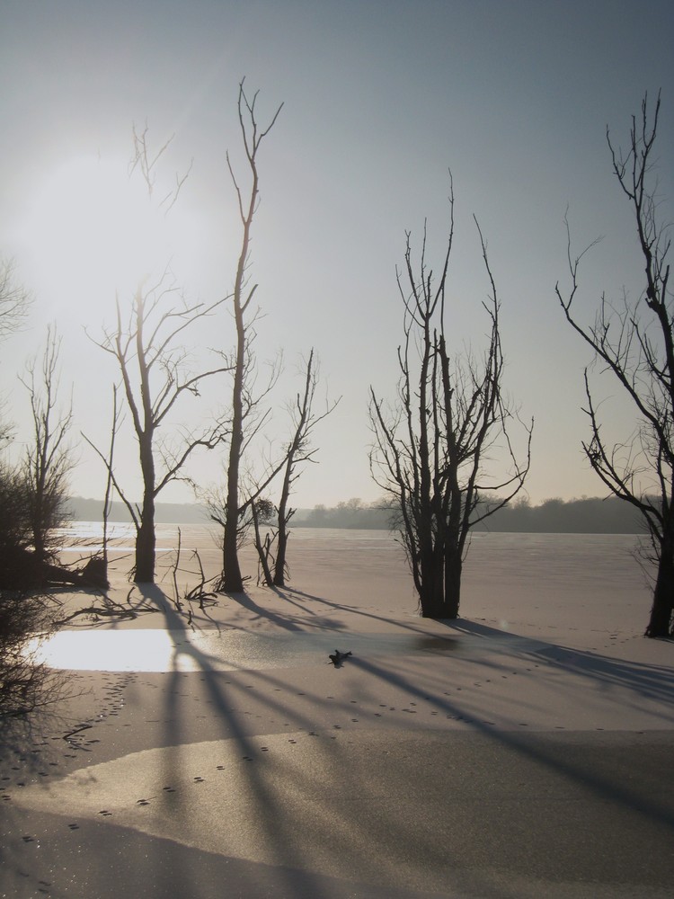 Pris dans la glace!