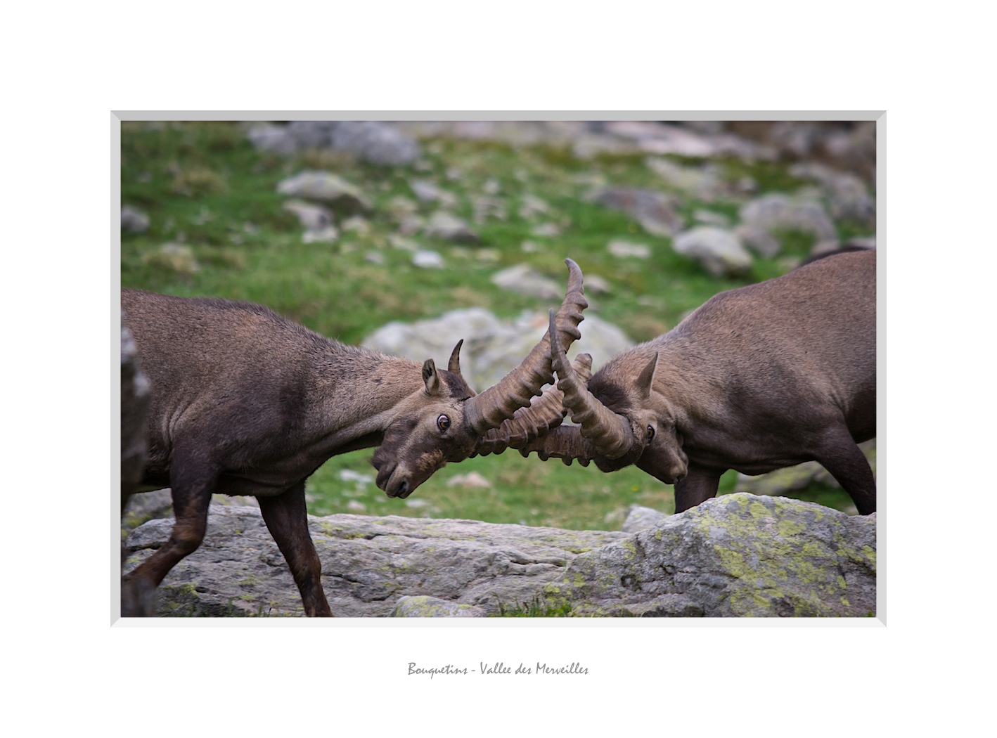 Prise de tete