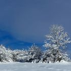 Prise de vue au Larmont ( au dessus de Pontarlier ) 1200 mètres