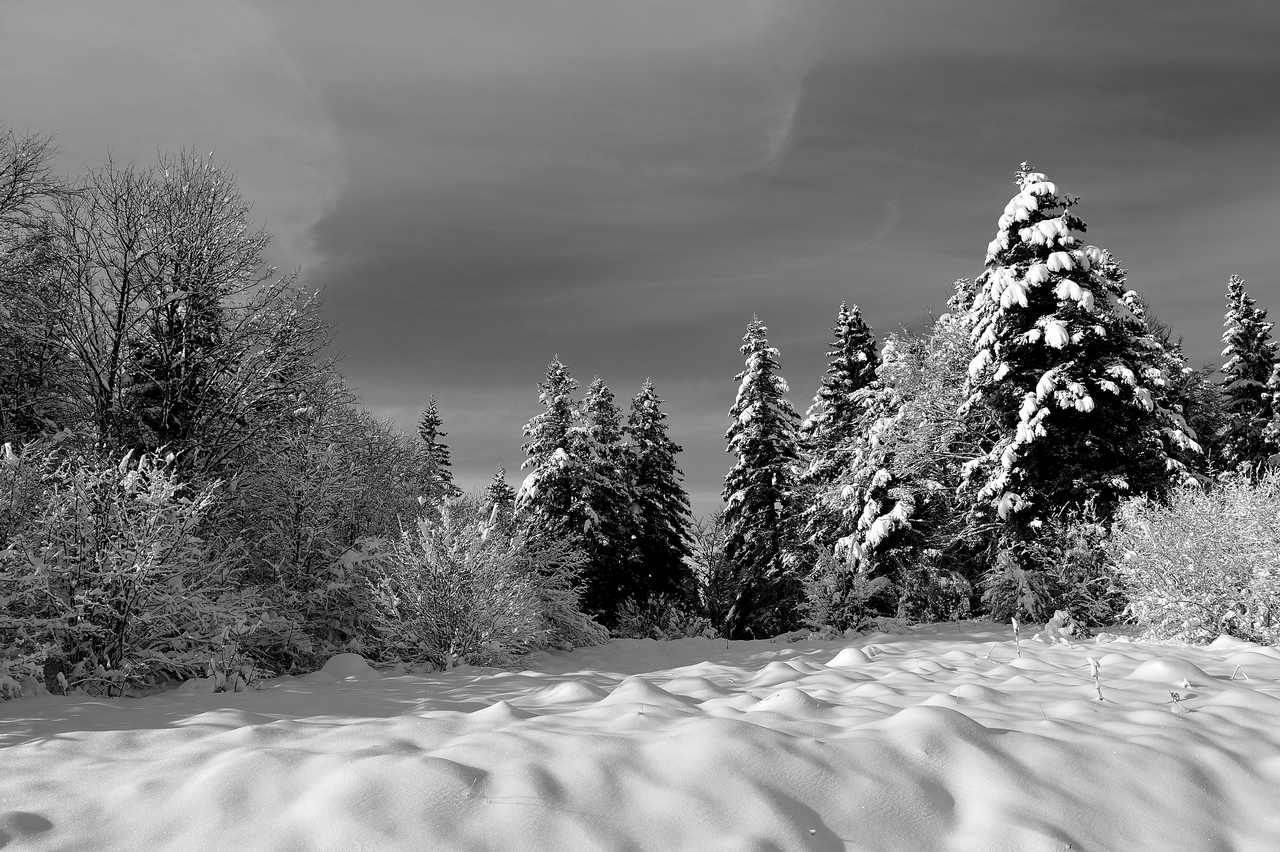 Prise de vue au Larmont dans le Doubs - Au dessus de Pontarlier.