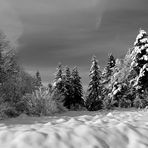 Prise de vue au Larmont dans le Doubs - Au dessus de Pontarlier.