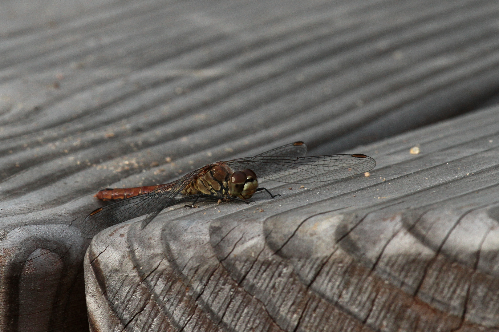 prise d'une grande fatigue