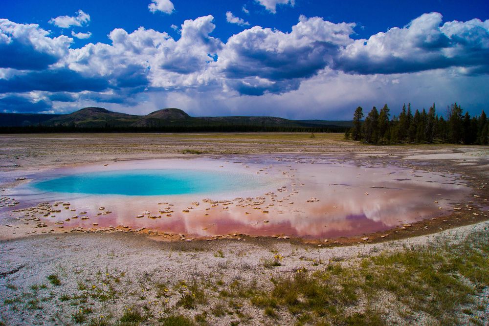 Prismatic spring by Nicolas Bernal N. 