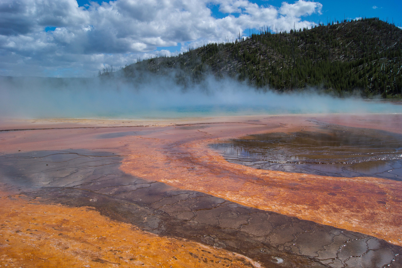 Prismatic Spring 2012