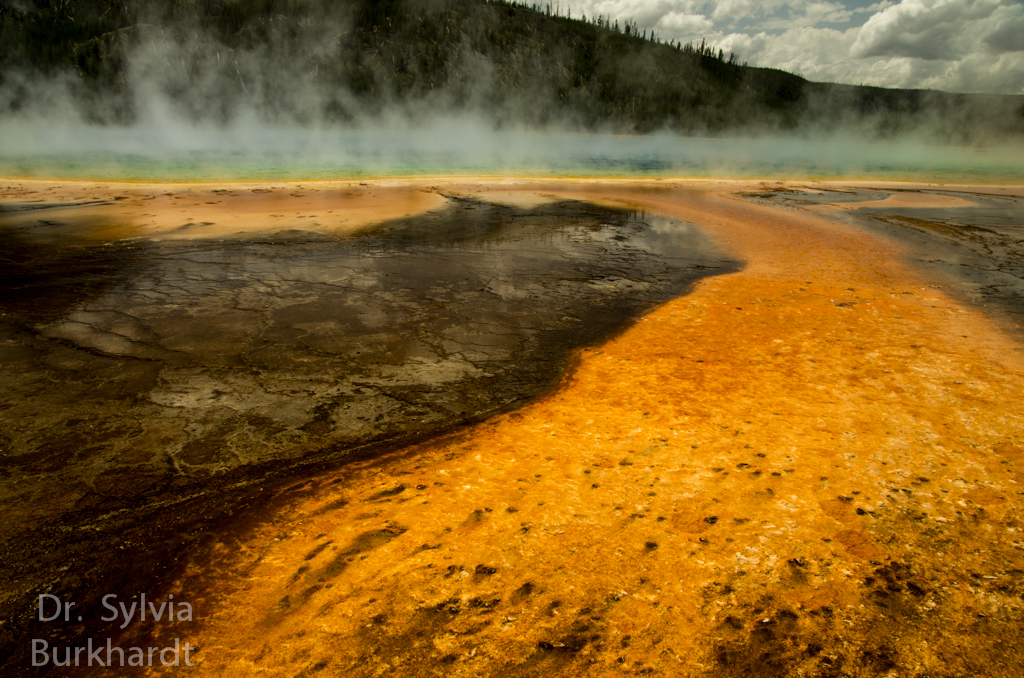 Prismatic Spring