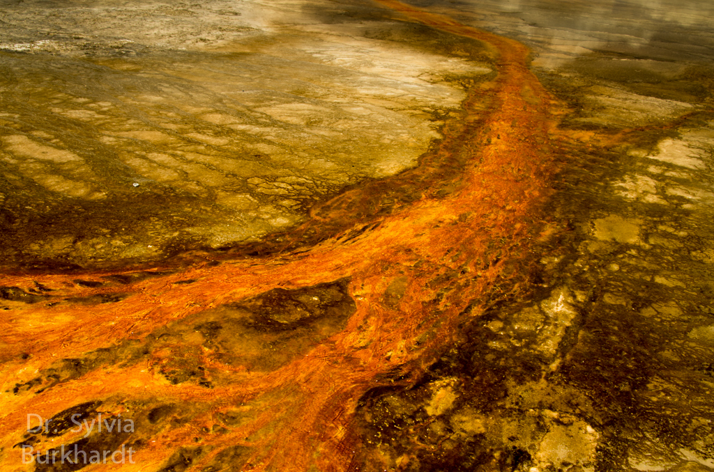 Prismatic Spring Strukturen