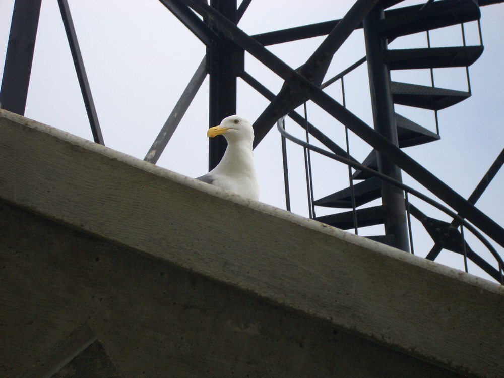 Prison of Alcatraz